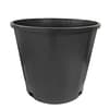 Ronbo Sunrise 3 gallon pots