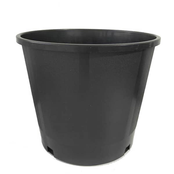 Ronbo Sunrise 3 gallon pots