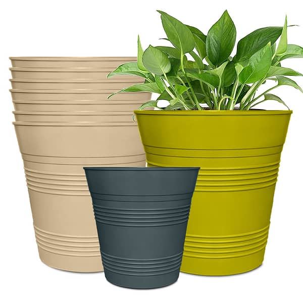 ronbo sunrise planters