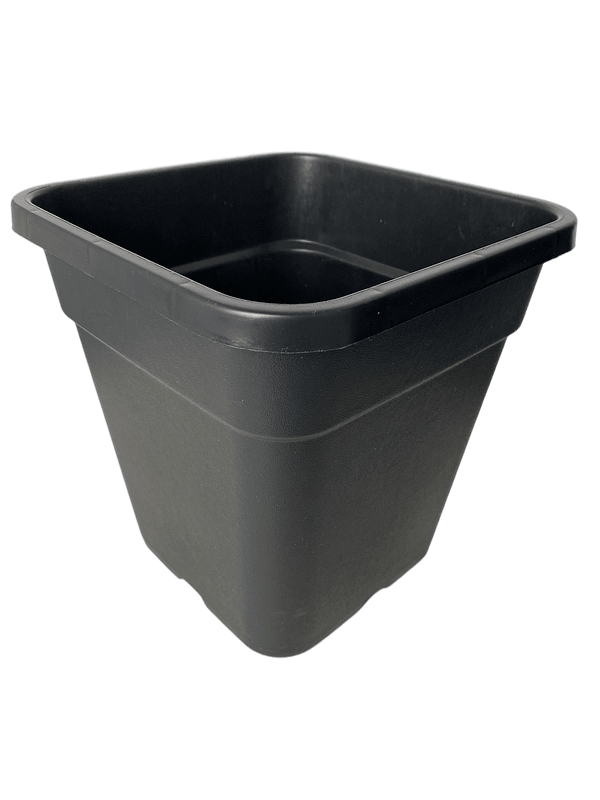 Ronbo Sunrise G003s Square Gallon Pots