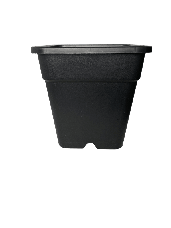 Ronbo Sunrise G005s Square Gallon Pots